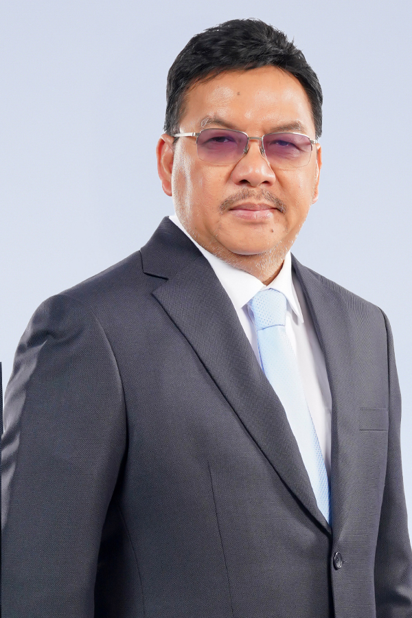 Denny Januar Ali
