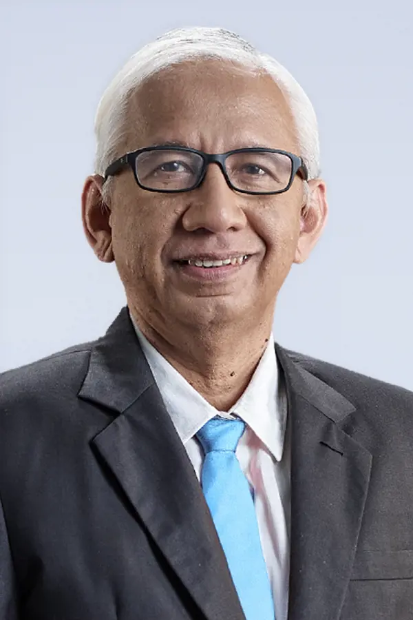Sasono Adi CHIEF AUDIT EXECUTIVE