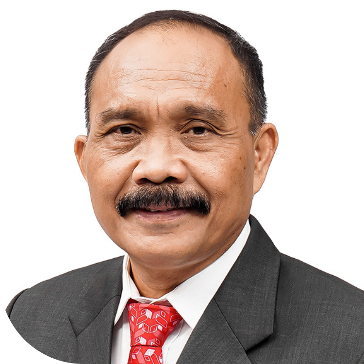 Tumpak Simanjuntak - Ketua Komite Audit