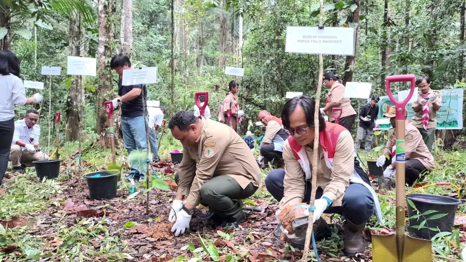 Peringati Hari Menanam Pohon Indonesia, SKK Migas-Pertamina EP Papua Raih Penghargaan