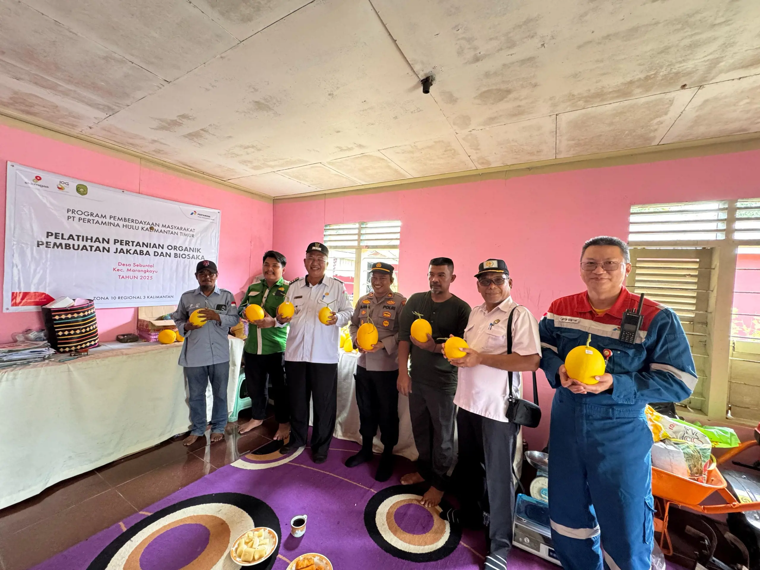 Dukung Pertanian Berkelanjutan di Kutai Kartanegara, Program CSR Pertamina Hulu Kalimantan Timur Panen Raya Melon Golden