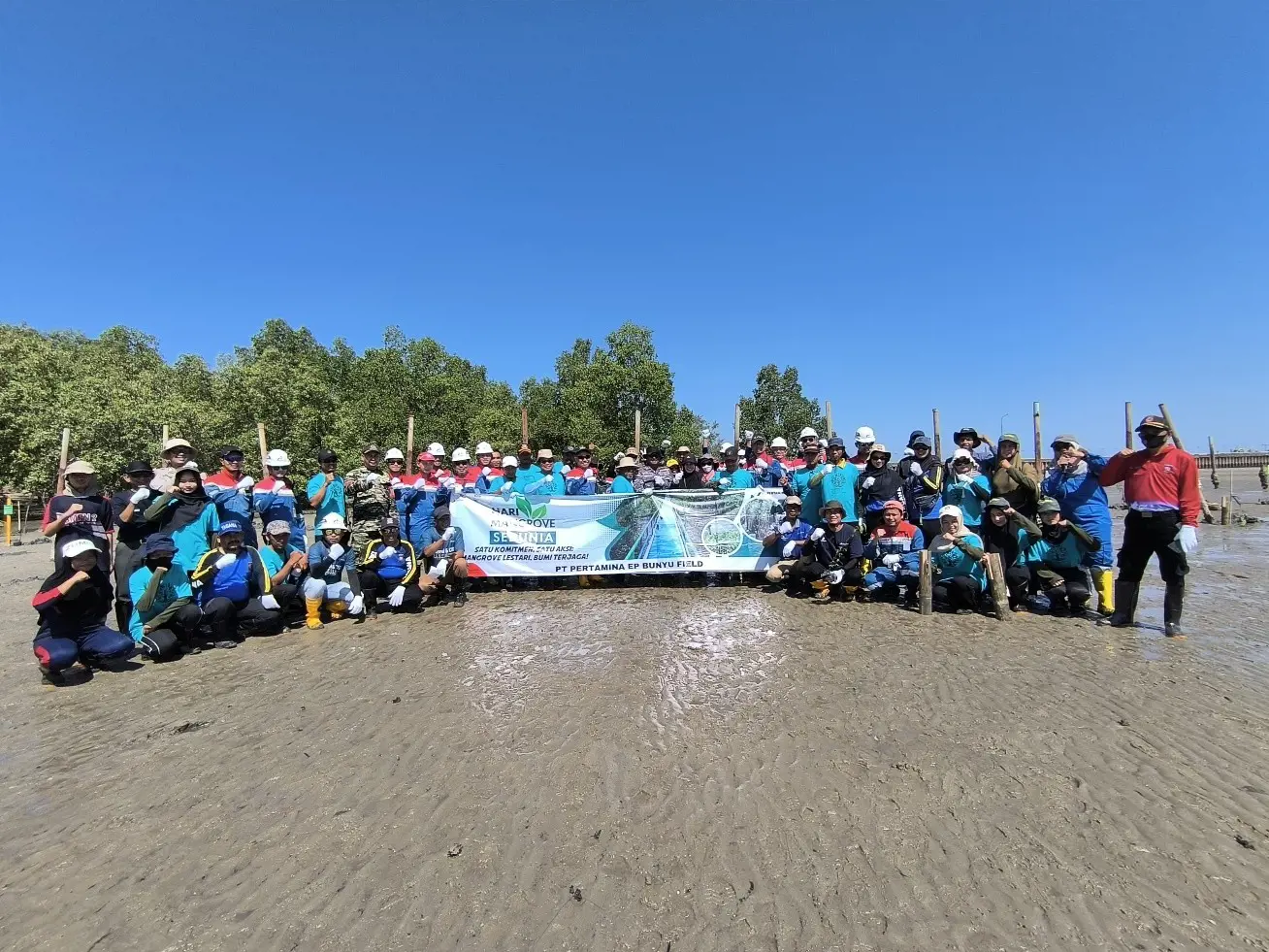 Cegah Abrasi Pulau Bunyu, PEP Bunyu Field dan PHE-Nunukan Company Tanam 2.500 Mangrove dengan Inovasi MBP-Shield