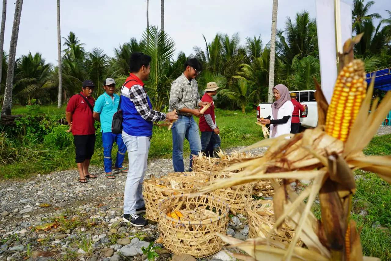 Komitmen Dukung Asta Cita Membangun dari Desa, Regional Indonesia Timur Borong 6 Penghargaan dalam Ajang CSR dan PDB Award 2025